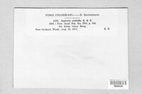Image Associated With the Occurence